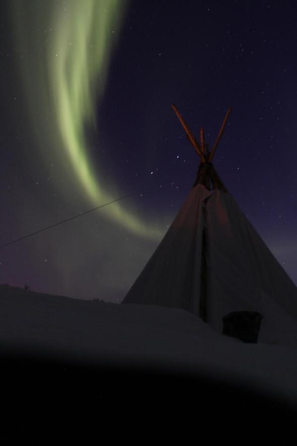 סטמסונד Lofoten Camp מראה חיצוני תמונה